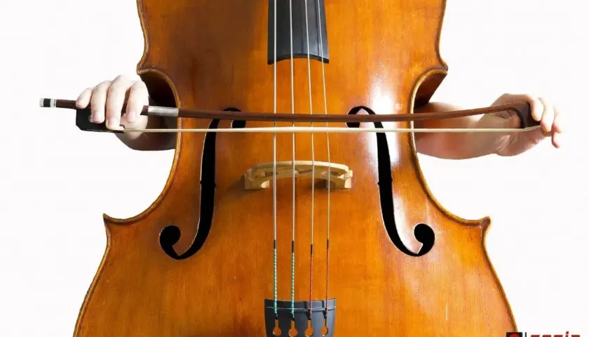 Mains tenant un archet sur les cordes d'un magnifique contrebasse instrument, prêt à jouer une mélodie profonde.