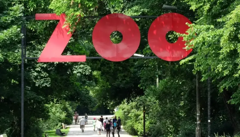 Duże czerwone litery "ZOO" nad alejką w zielonym parku. Ludzie spacerują, ciesząc się dniem w zoo w Polsce.
