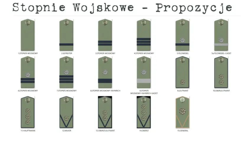 Ilustracja przedstawia różne stopnie wojskowe wojsk lądowych z oznaczeniami.