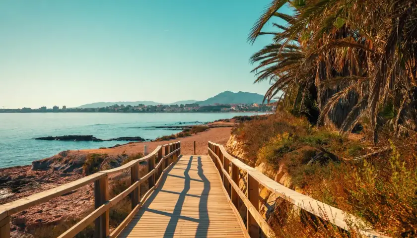 Pasarela de madera hacia paradisíacas playas de Murcia, con palmeras y el mar azul.