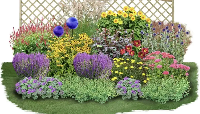 Bunte Blumenpracht mit lila Salbei, gelben Sonnenblumen und roten Taglilien. Tolle Beet-Ideen für einen blühenden Garten.