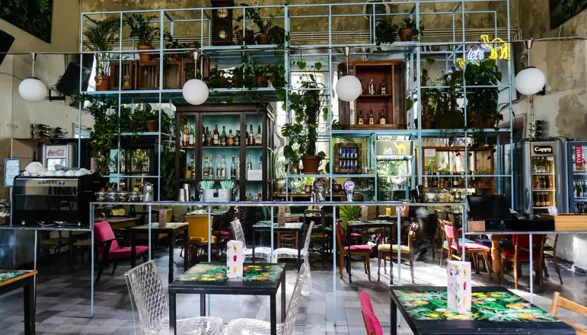 Gdzie zjeść w Nowym Targu? Odkryj najlepsze restauracje i smaki
