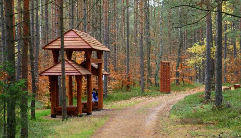 Jesienna ścieżka zdrowia Luzino zaprasza do odpoczynku pod drewnianą altaną i ćwiczeń na świeżym powietrzu.