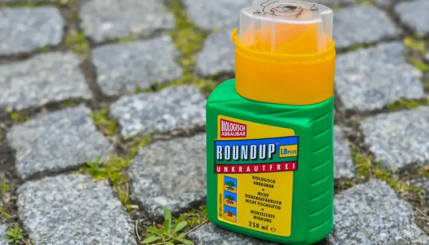 Grüne Flasche mit "Roundup Unkrautfrei" auf Kopfsteinpflaster. Die Diskussion um Roundup verboten Strafen wird durch solche Produkte aktuell gehalten.