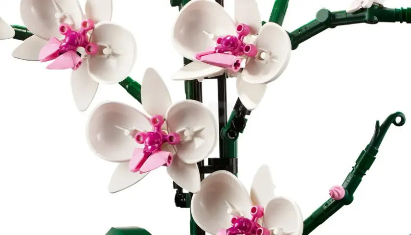 Eine detaillierte Lego Orchidee, die zeigt, wie man sie mit der Anleitung baut. Weiße Blütenblätter mit pinken Akzenten.