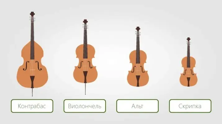  Kontrabas a wiolonczela - podobieństwa i różnice tych instrumentów smyczkowych