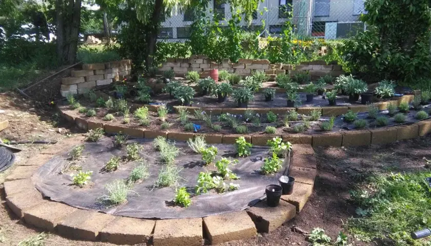 Giardino a terrazze con erbe aromatiche appena piantate. Un esempio di come disporre le erbe aromatiche in giardino per un effetto scenografico e funzionale.