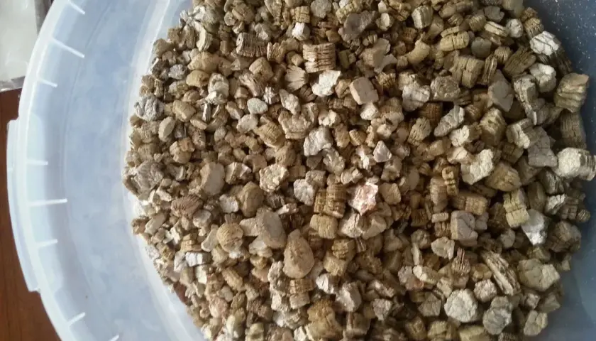 Granuli di vermiculite isolante in un secchio trasparente. Materiale leggero e poroso, ideale per l'edilizia e l'orticoltura.