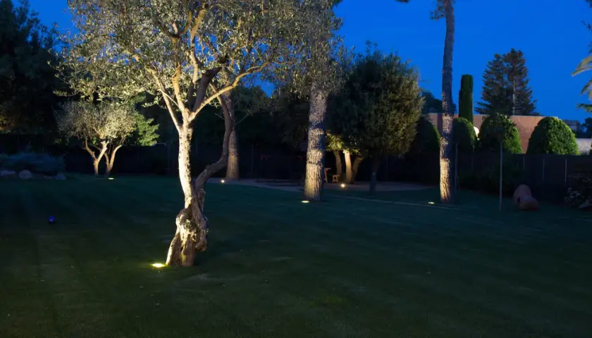 Jardín iluminado por la noche, con árboles y césped verde. Las luces, con protección **IP65**, resaltan la vegetación y crean un ambiente mágico.