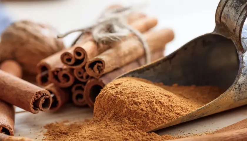 Zimtstangen und gemahlener Zimt in einer Schaufel. Zimt gesund und aromatisch, perfekt für die Küche.