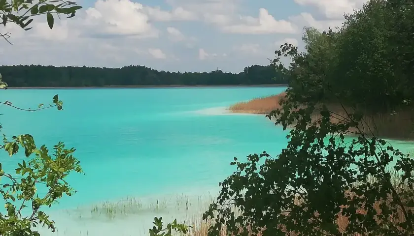 Turkusowe jezioro w Koninie, otoczone zielenią i trzcinami, lśni w słońcu.