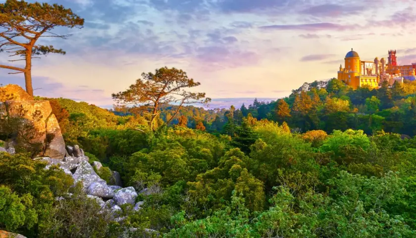A vibrant Sintra hiking trail leads through lush greenery towards a colorful palace perched on a hill.