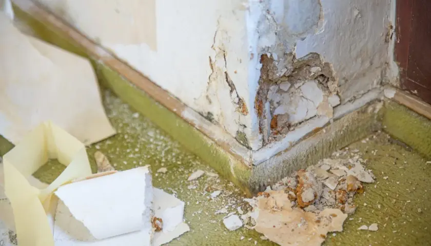 Beschädigte Ecke mit abblätternder Farbe und Putz. Der Teppich ist mit Staub und Putzresten bedeckt. Hier zeigt sich, was kapillar bedeutet: Feuchtigkeit zieht durch kleinste Risse.