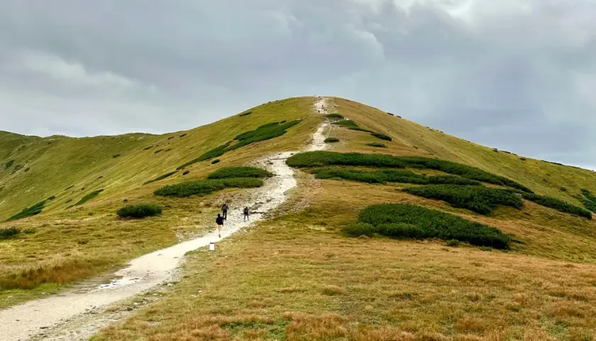 Wycieczka w Tatry na 3 dni. Szlak prowadzi przez trawiaste zbocza porośnięte kosodrzewiną, z widokiem na szczyt.