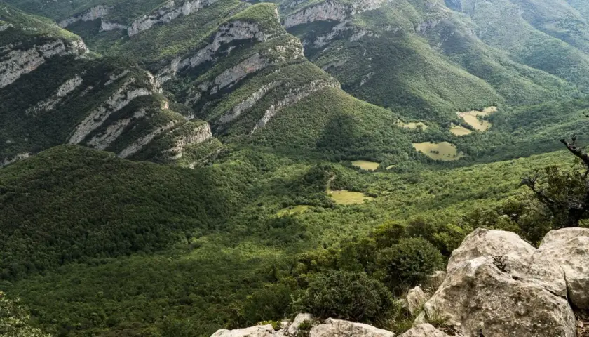Vistas impresionantes de la Alta Garrotxa, con montañas cubiertas de bosques frondosos y formaciones rocosas que se asoman entre la vegetación.