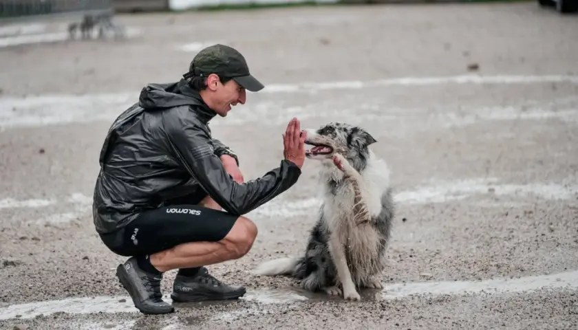 Trener daje piątkę swojemu psu do biegania po treningu w deszczu.