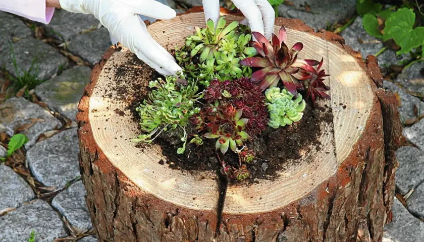 Jak zbudować drewniany kwietnik? Kompletny poradnik DIY
