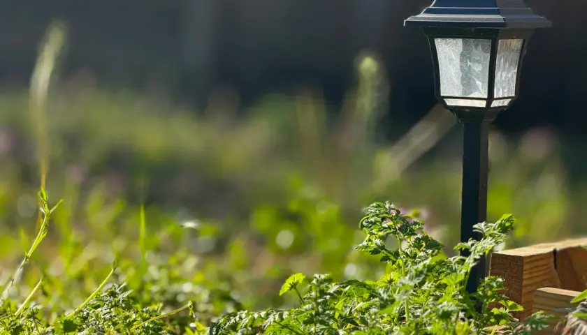 Solarna lampa ogrodowa w zieleni. Dowiedz się, jak podłączyć lampy ogrodowe szeregowo, by stworzyć magiczny nastrój.