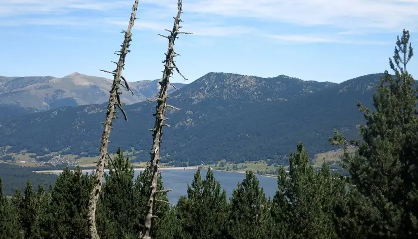 Dos árboles secos se alzan sobre un paisaje de **Alta Cerdanya** con montañas, un lago y pinos verdes.