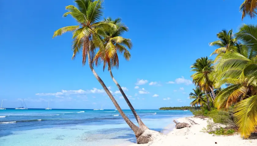 Rajska plaża na Dominikanie, z palmami pochylonymi nad turkusową wodą. Idealne miejsce, by zapomnieć, kiedy huragany na Dominikanie mogą zagrozić temu spokojowi.