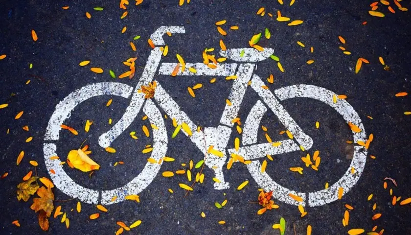 Znak roweru na asfalcie, zasypany jesiennymi liśćmi. To jak symboliczne prawo jazdy na rower, gotowe do jesiennych przejażdżek.