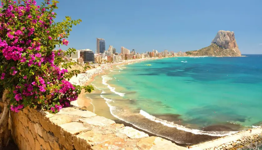 Vista panorámica de la mejor playa de Calpe, con su arena dorada, aguas turquesas y el imponente Peñón de Ifach. Flores moradas en primer plano.