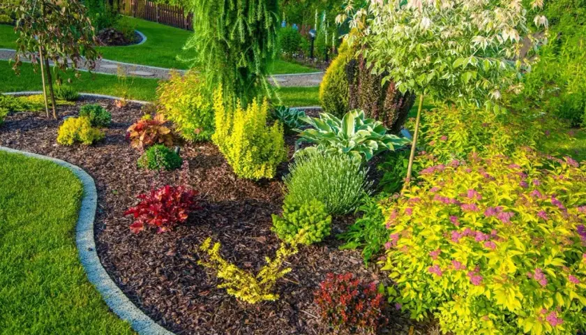 Ein Gartenbeet mit Rindenmulch, das Unkrautvlies verlegen bei bestehenden Pflanzen schützt. Bunte Stauden und Zwerggehölze gedeihen prächtig.