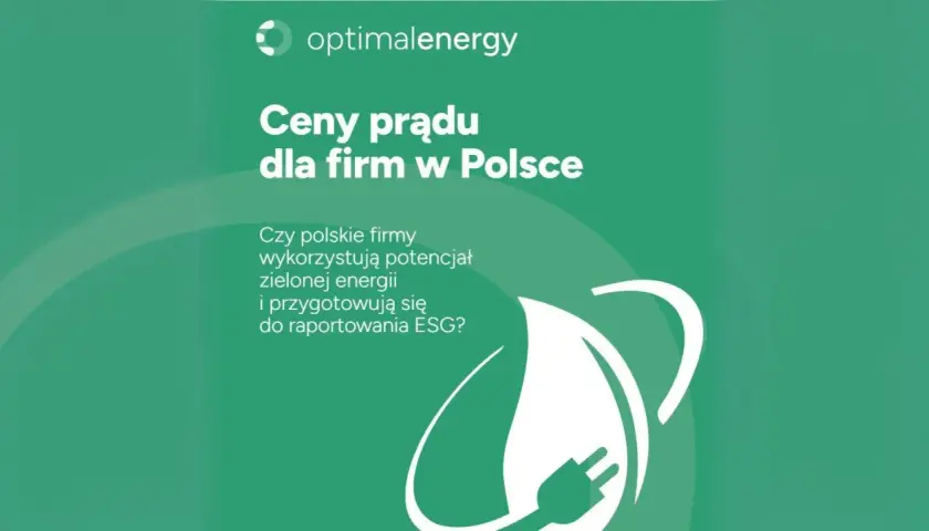 Ceny prądu dla firm w Polsce. Czy polskie firmy wykorzystują potencjał zielonej energii i przygotowują się do raportowania ESG?