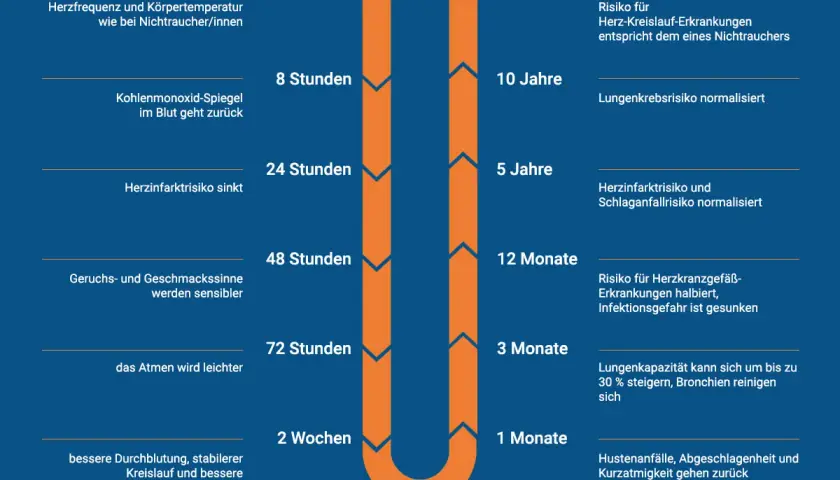 Zeitstrahl zeigt, wie sich der Körper nach dem Rauchstopp verändert. Tipps für rauchen aufhören und Hausmittel werden durch positive Effekte illustriert.