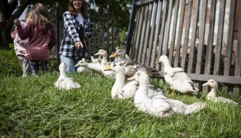 Jak skutecznie pozyskać środki na agroturystykę i uniknąć błędów