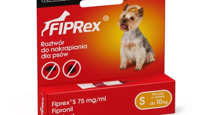 Jak skutecznie wybrać środki na pchły dla szczeniaka i zadbać o jego zdrowie