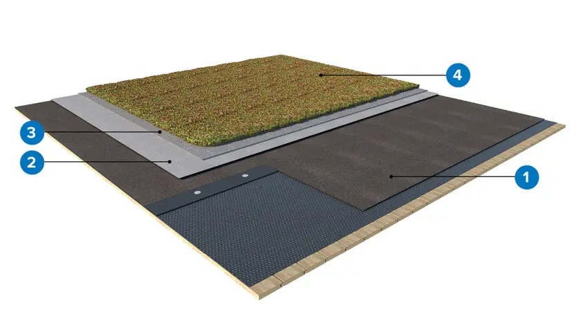 Skiktad sedumtak konstruktion med dränering, skydd och vegetation.