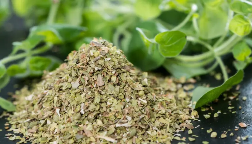 Góra suszonego oregano, idealna do pizzy, sosów pomidorowych i dań kuchni śródziemnomorskiej.