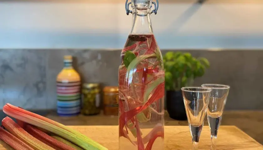 En flaska med rabarberinfusion för egen snaps, bredvid två små glas. Rabarberstjälkar ligger framför.