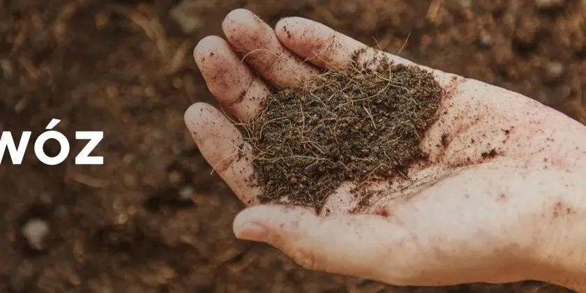 Dłoń trzyma nawóz, który wygląda jak popiół z pelletu, z widocznymi drobnymi włóknami.