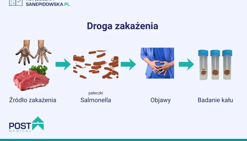 Schemat drogi zakażenia Salmonellą: źródło (mięso, brudne ręce), pałeczki, objawy (ból brzucha), badanie kału.