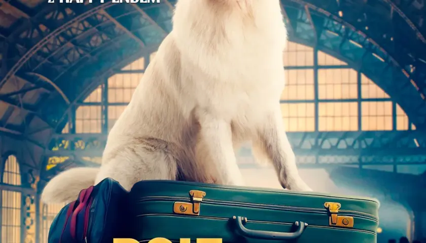 Gdzie obejrzeć film o psie który jeździł koleją online i za darmo