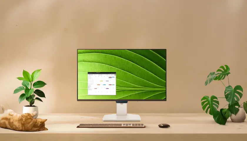 Jaki monitor do pracy? Wybierz idealny model i zadbaj o wzrok!