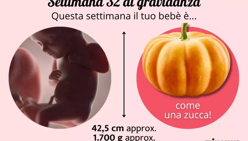 Feto di 32 settimane, lungo 42,5 cm e con un peso feto 32 settimane di circa 1.700 g, paragonato a una zucca.