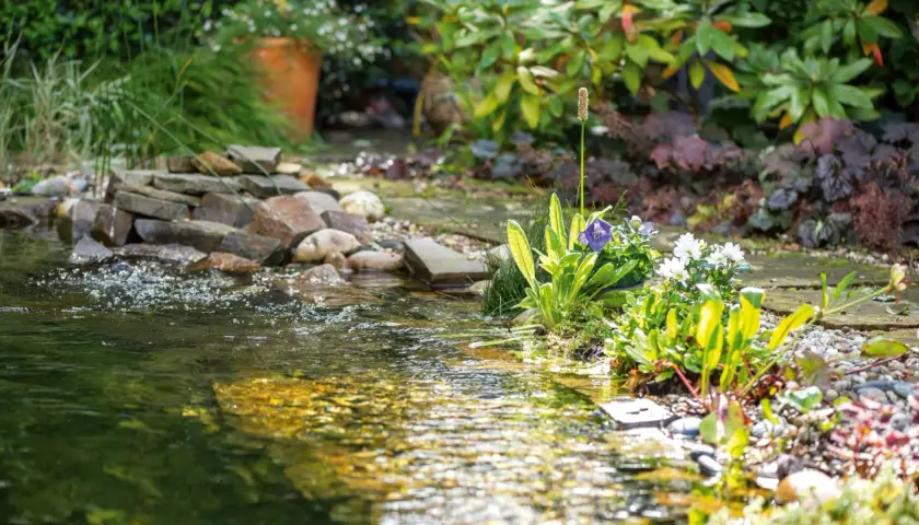 Ein kleiner Wasserfall plätschert in einen Teich, umgeben von üppigen wasserpflanzen und bunten Blumen. Steine und Kies säumen das Ufer.
