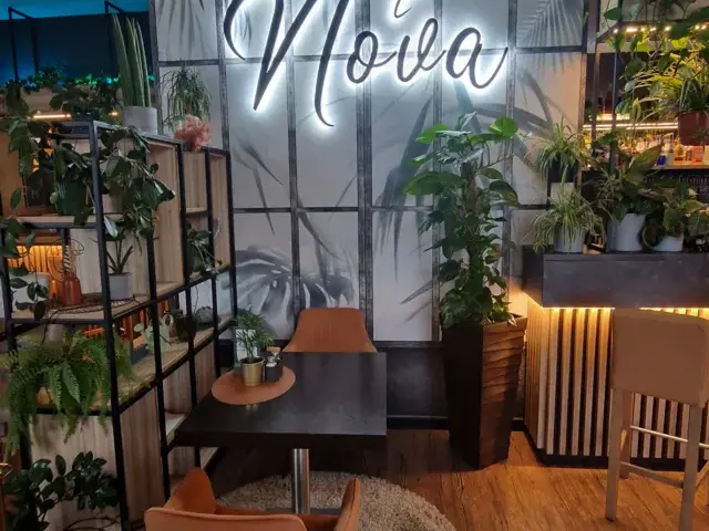 Gdzie zjeść w Solec-Zdroju? Odkryj najlepsze restauracje i smaki