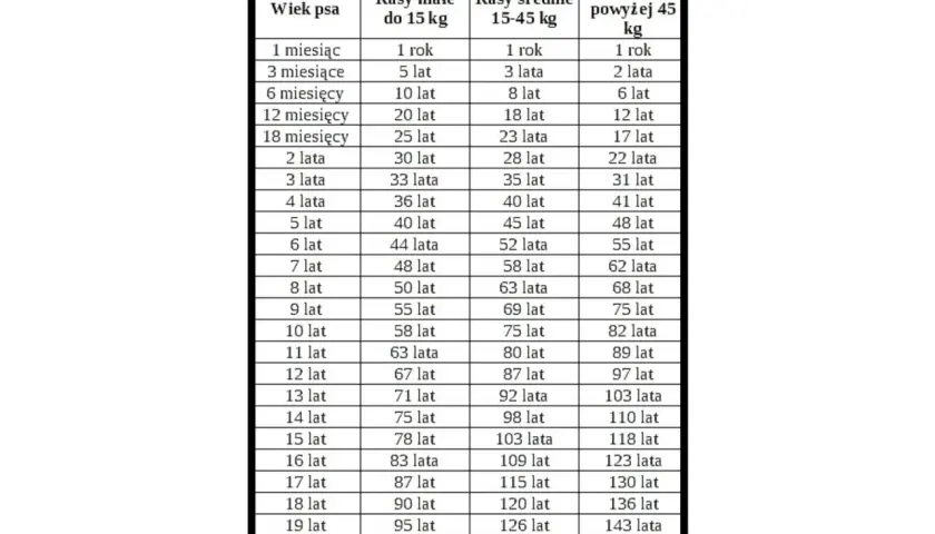 Tabela wieku psa: porównanie wieku psów małych, średnich i dużych ras.