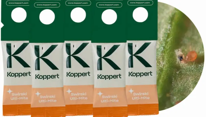 Pięć opakowań Koppert Swirski Ulti-Mite, z bliska widać maleńkiego dobroczyńca – roztocza.