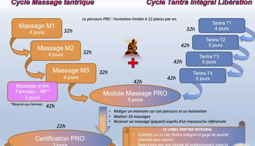 Schéma du cycle de formation professionnelle certifiante en massages tantriques, incluant les modules M1, M2, M3, Tantra T1-T4, et la certification PRO.