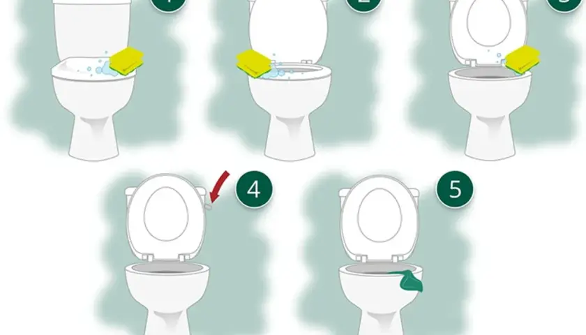 Schritt-für-Schritt-Anleitung zum klo reinigen: Schwamm mit Reinigungsmittel, spülen, Deckel heben, Spülung betätigen, trocknen.
