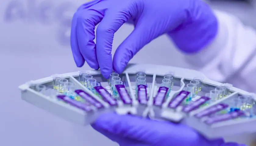 Ręka w fioletowej rękawiczce manipuluje próbówkami w laboratorium. Szybkie testy, jak **mycofast**, wymagają precyzji.