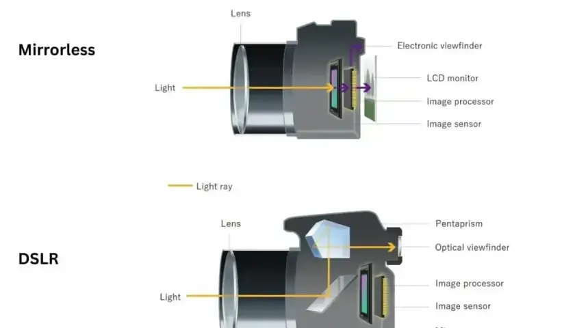 Schemat pokazuje, czym się różni lustrzanka od bezlusterkowca: lustrzanka ma lustro i pentapryzmat, bezlusterkowiec nie.