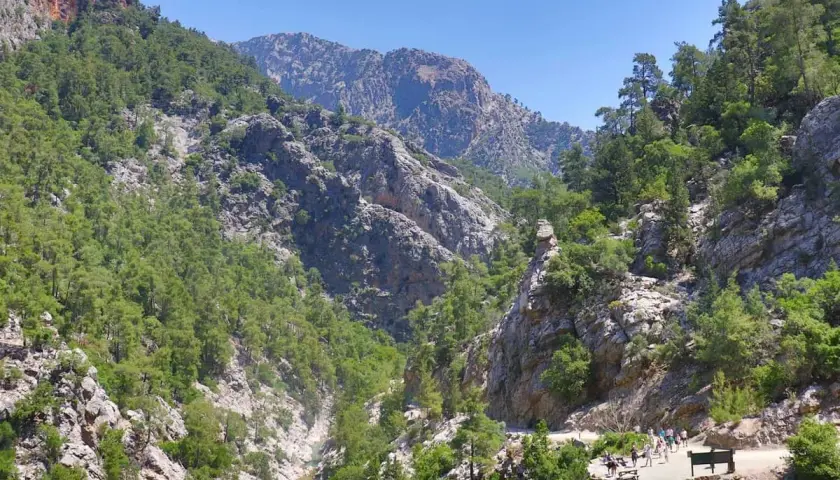 Wanderweg durch eine grüne Schlucht auf Kreta, mit Felsen und Bäumen, die sich an steilen Hängen emporranken.