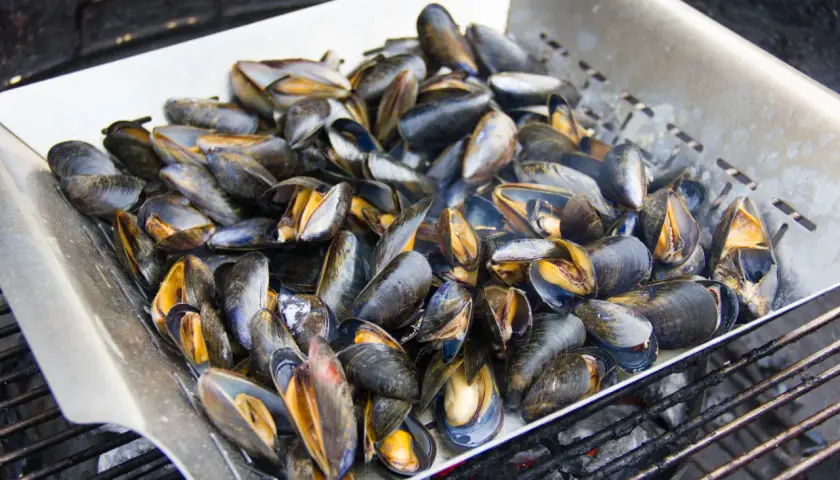 Un plateau de moules au barbecue, prêtes à être dégustées. Les coquilles sombres et les chairs orangées promettent un festin savoureux.