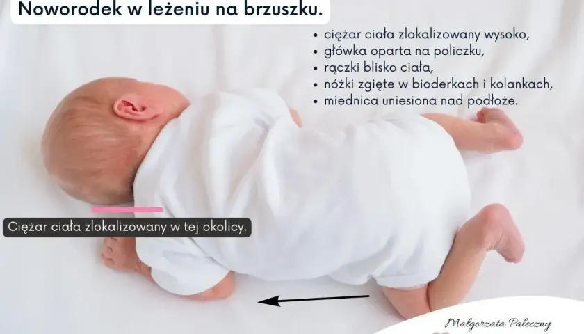 Noworodek na brzuchu, z ciężarem ciała skupionym wysoko, główka oparta na policzku, rączki blisko ciała, nóżki zgięte, miednica uniesiona.